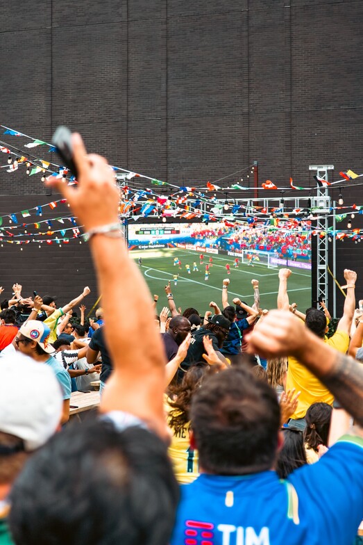 spectators watching the world cup